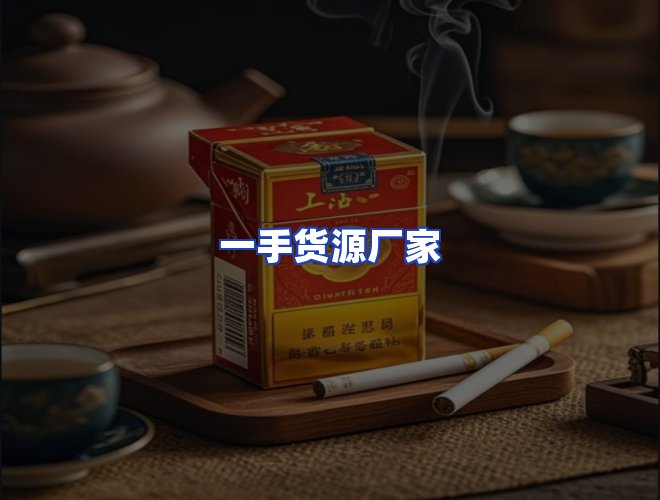 专业团队